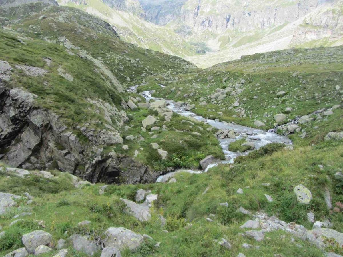 Bilocale A Due Passi Dal Gran Paradiso Locana Exteriör bild