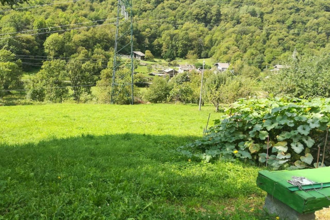 Bilocale A Due Passi Dal Gran Paradiso Locana Exteriör bild